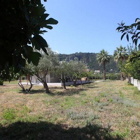 Olga Home Agios Ioannis Lefkada - Lefkada Bnb Zewnętrze zdjęcie