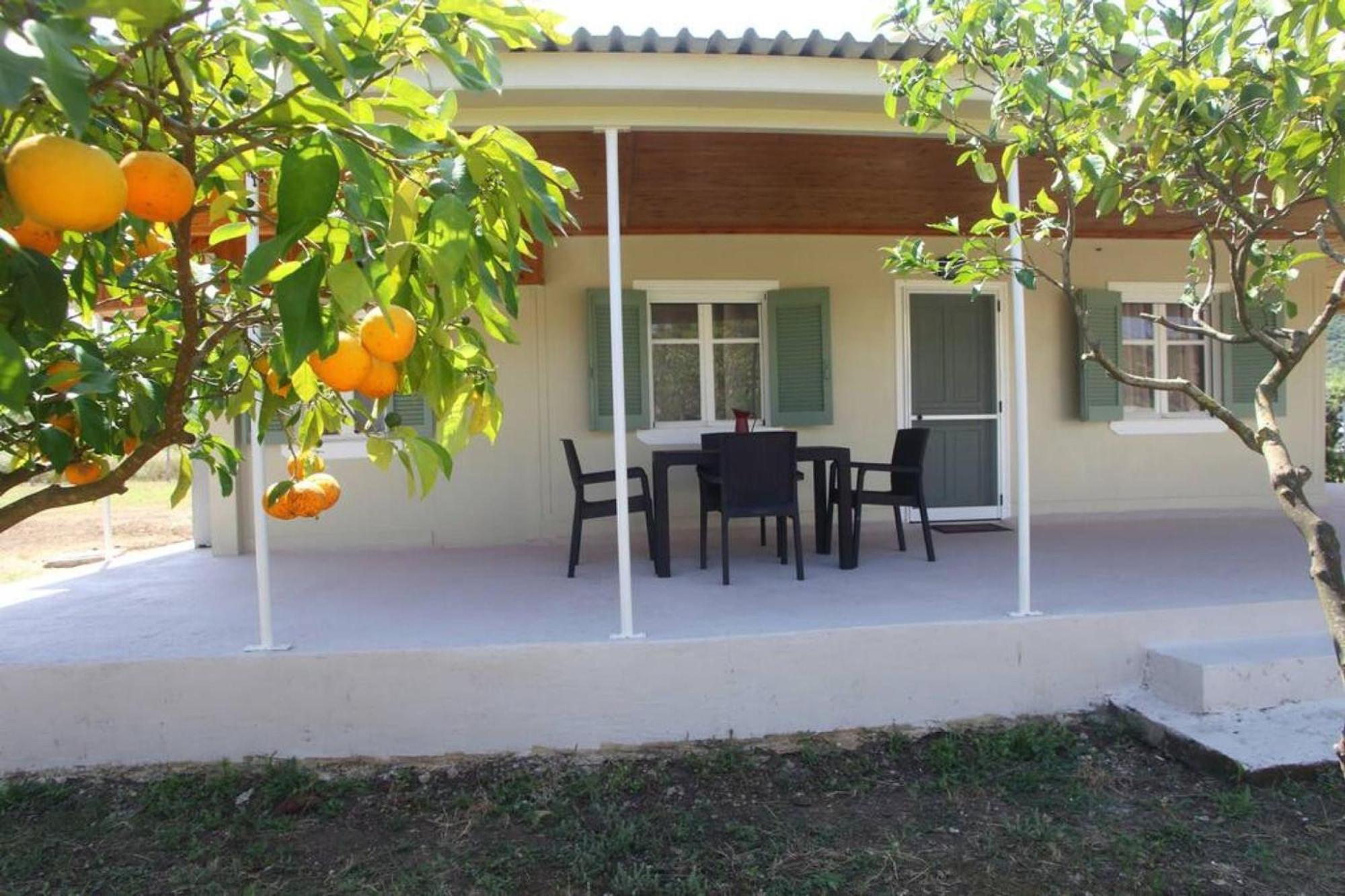 Olga Home Agios Ioannis Lefkada - Lefkada Bnb Zewnętrze zdjęcie