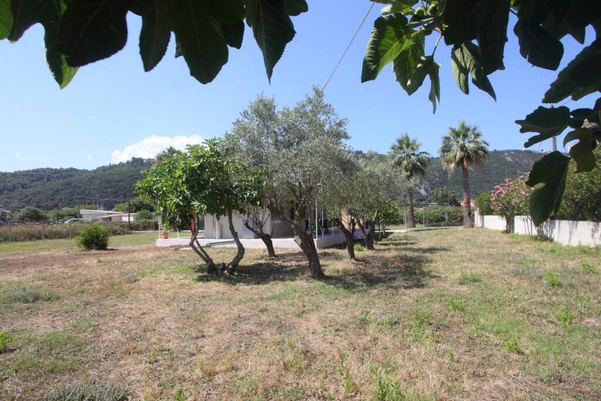 Olga Home Agios Ioannis Lefkada - Lefkada Bnb Zewnętrze zdjęcie